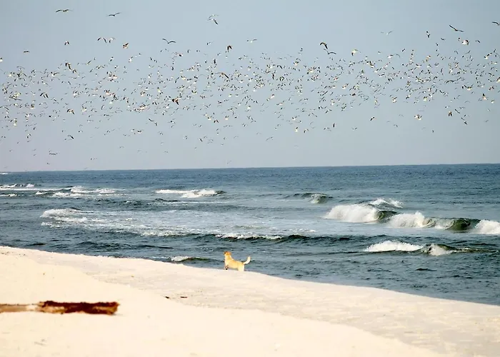 Lägenhet Gilde-residenz App. 5